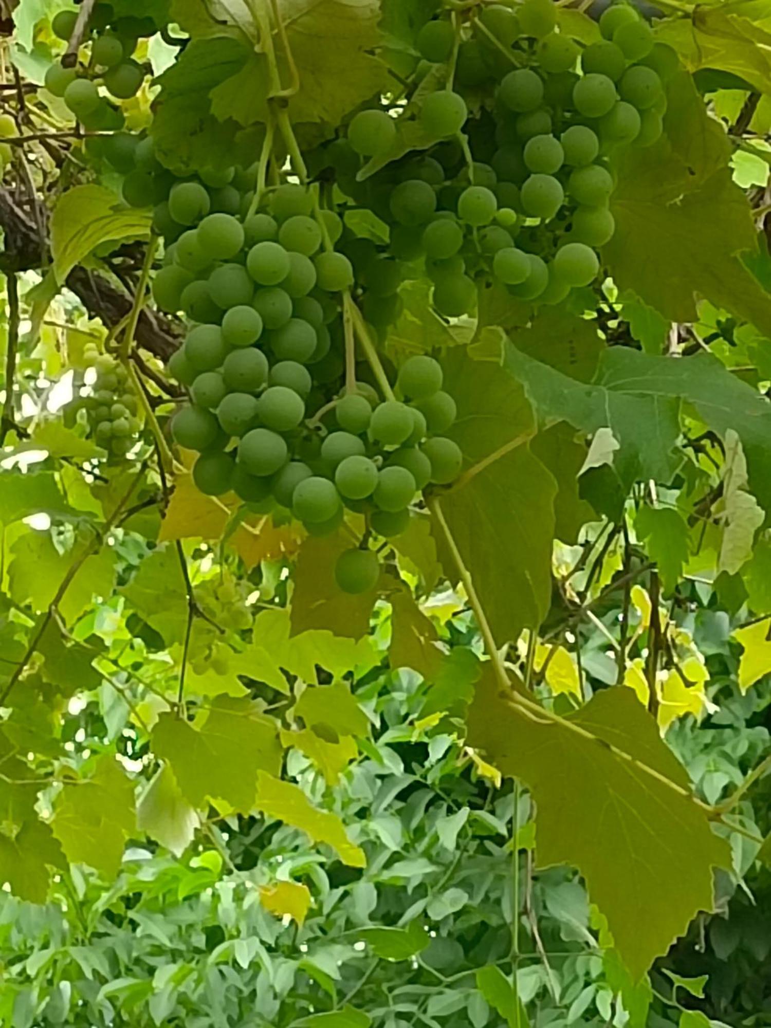 Dimora San Lorenzo Apartamento Maggio Quarto foto